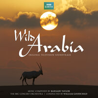 Monsoon - William Goodchild & BBC Concert Orchestra & Barnaby Taylor