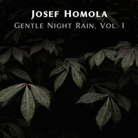 Gentle Night Rain, Pt. 18 - Josef Homola