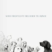 Ruhe - Hundemusik