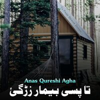 Wale De Preshodam Tanha Bewafa - Anas Qureshi Agha