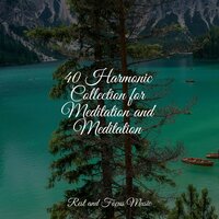 Hundred Mile View - The White Noise Zen & Meditation Sound Lab & Ambient Music Therapy & Academia de Meditação Buddha