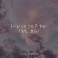 Zen Relajante - Dormir Mucho & Naturaleza Relajacion & Musica Para Dormir Profundamente