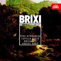Concerto Ut maggiore (in C major): II. Allegro. Alla breve - Robert Hugo & Frantisek Xaver Brixi & Capella Regia Musicalis & Vera Hermanova