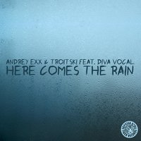 Here Comes the Rain - Andrey Exx