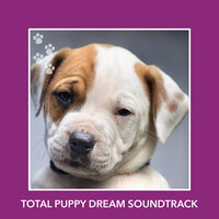 Laid Back Dream - Calm My Dog