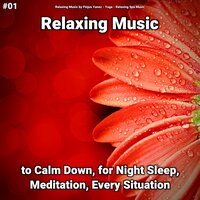 Relaxation Music Pt. 55 - Relaxing Music by Finjus Yanez & Yoga & Relaxing Spa Music