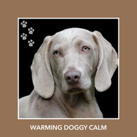 Peaceful Dog Soundtrack - Relaxing Dog Music