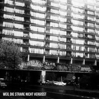 CCN Kinder - Fler & Frank White
