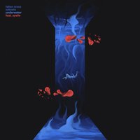 Underwater - Fallen Roses