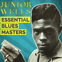 It Hurts Me Too - Junior Wells