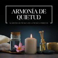 Relajación De Spa - Academia de Música de la Música Ambiente