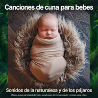 Ayuda para dormir - Sonidos de aves - Musica Para Niños & Canciones de cuna para bebés & Musica Para Dormir Bebes