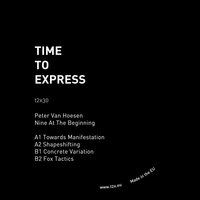 Shapeshifting - Peter Van Hoesen