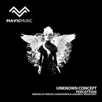Perception - Unknown Concept & Moodyboy