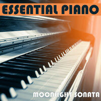 My Heart Will Go On - Essential Band