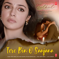 Tere Bin O Saajana From "Bulbul" - Meet Bros & Neeti Mohan & Piyush Mehroliyaa