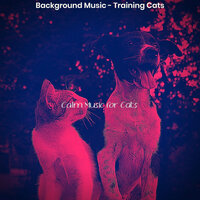 Extraordinary (Music) - Calm Music for Cats