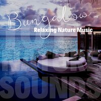 Sacred Mantra (Flute) - with Waves Sound - 101 Nature Sounds
