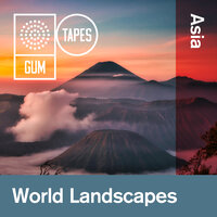 Mystical Path - Gum Tapes