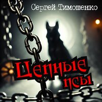Десант на Гостомель - Сергей Тимошенко