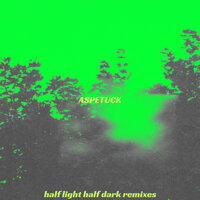Toutatis - Aspetuck & Forest On Stasys