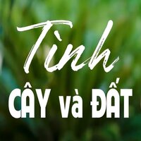 Liên Khúc Vọng Cổ Tình Quê - Short Version 2 - Son Ha