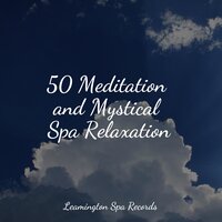 Feeling Sheltered - Nature Sounds & Nature Sounds for Relaxation and Sleep & Namaste Healing Yoga