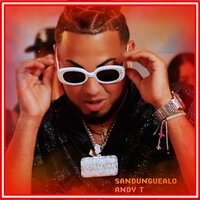 Sandunguealo - Andy T