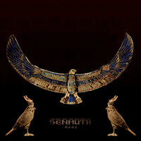 Divine of Body - Senmuth