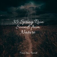 Rain, Light Metal, Window Pane - Tinnitus & Nature Sounds for Sleep and Relaxation & Ruído branco