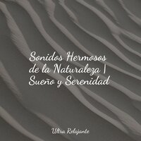 Vida - Meditação Yoga & Canciones De Cuna Para Dormir Bebes & Sueño Lucido