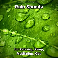 Rain Sounds for Relaxing and Sleep Pt. 17 - Nature Sounds & Rain Sounds & Regengeräusche