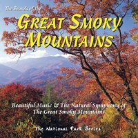 Amaranth - Stephen Foster & Tim Heintz & Randy Petersen & Grant Geissman & Martha Jacobs & Bill Mize