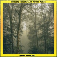 Cure for the Heart - Mystic Moonlight