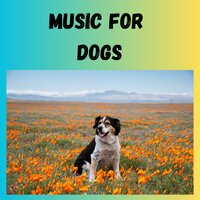 Ruff Rhythms - Music for Dogs & Music for Dogs Peace & Relaxing Puppy Music & Calm Pets Music Academy