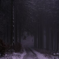 arcane - nøave