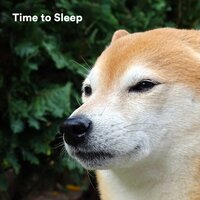 Lost in Thought - Music for Calming Dogs & Music for Leaving Dogs Home Alone & Sleepy Dogs