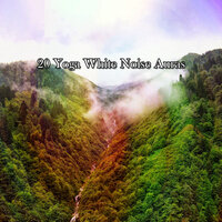 Нежная тишина - White Noise Research