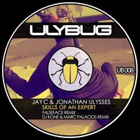 Skills of an Expert - Jay C