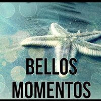 Energia Positiva - Massagem Música