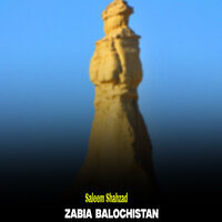 Wkhat Nia Zamana - Saleem Shahzad