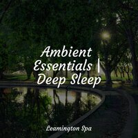 Well Rested - Ambient Music Therpy & Chakra Balancing Sound Therapy & Kinderlieder-Superstar