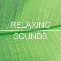 Zen Piano - Quiet Moments