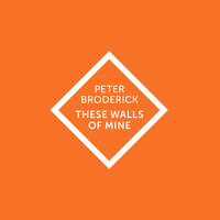 Copenhagen Ducks - Peter Broderick