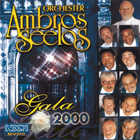 Medley - Orchester Ambros Seelos
