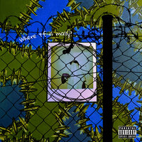 Fall Thru - Mally