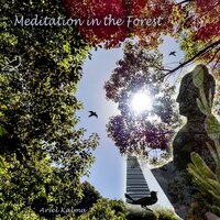 Forest Mystics - Ariel Kalma