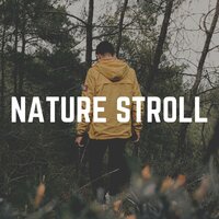 Morning Nature Sounds, Pt. 20 - Nature Ambience