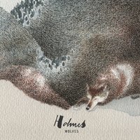 A New Still Morning - Holmes