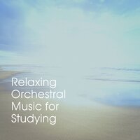 Danger Down Deep - RCA Symphony Orchestra & Charles Gerhardt